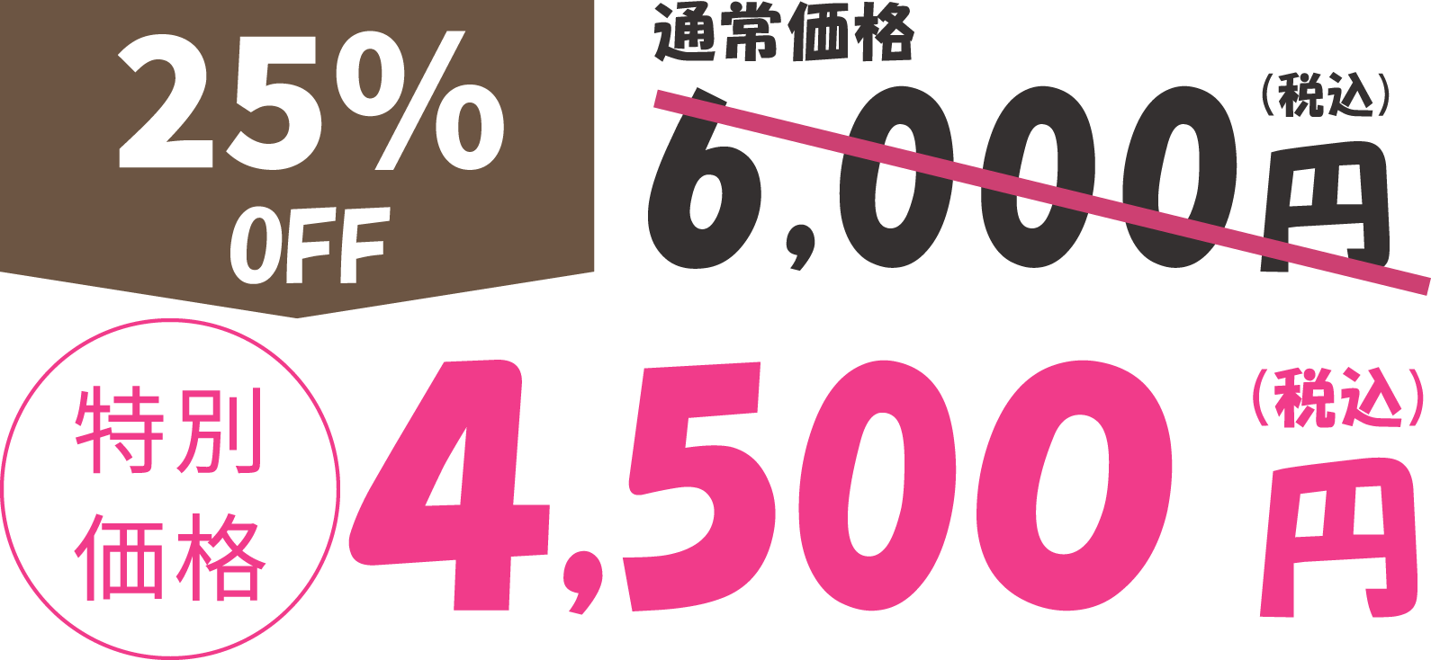 通常価格6,000円が特別価格で4,500円